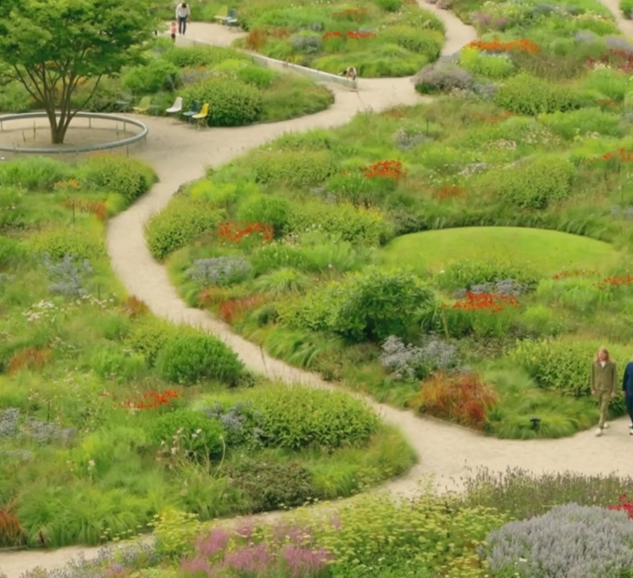 Newsletter background